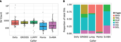 An optimised computational approach for the identification of somatic structural variants in cancer