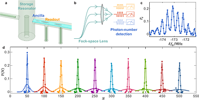 Quantum Confocal Microscopy in Fock Space with a 19 dB Metrological Gain