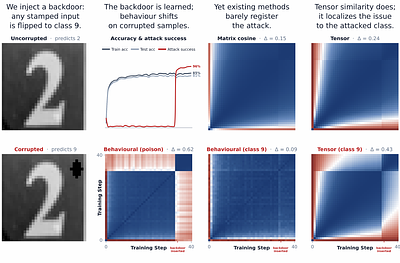 When Are Two Networks the Same? Tensor Similarity for Mechanistic Interpretability