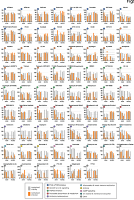 Drug repurposing high-throughput screen identifies candidate antiviral compounds against Puumala Orthohantavirus
