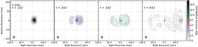 Probing Physical Conditions in Classical and Symbiotic Novae with the Square Kilometre Array Observatory