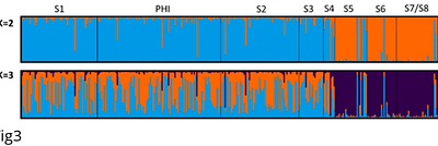 Cryptic diversity in Astyanax (Characiformes: Acestrorhamphidae) from the Magdalena basin, Colombia: Insights from molecular and morphometric evidence