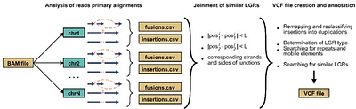 eLaRodON: identification of large genomic rearrangements in Oxford Nanopore sequencing data