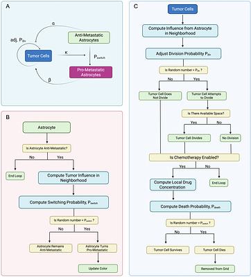 Astrocyte reprogramming drives tumor progression and chemotherapy resistance in agent-based models of breast cancer brain metastases