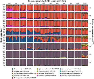 Ecological tristability driven by total carbon availability over resource complexity in a synthetic microbial community
