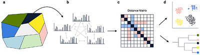 Scalable mass-spectrometry-based molecular phylogeny with TreeMS2
