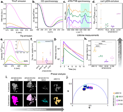 E. coli extracellular matrix: a tunable composite with hierarchical structure