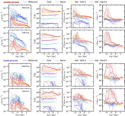 BlackHoleWeather -- Jet-regulated chaotic cold accretion across the meso scale: Morphology and thermodynamics