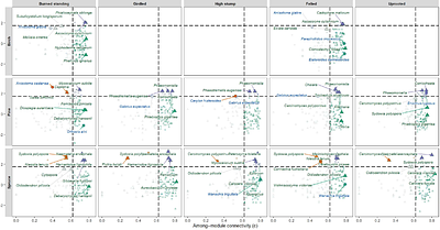 Fungal-beetle networks in deadwood are modular and shaped by tree species and deadwood type