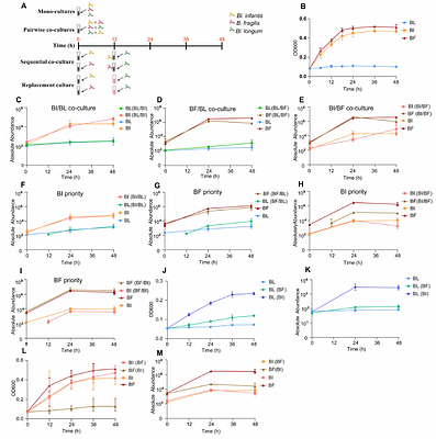 Evolutionary history and microbial cross-feeding shape lifestyle-stratified dominance of Bifidobacterium longum subspecies in infants