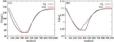 A Theoretical Framework for the Hemodynamic Role of Sarcomere Length Dynamics During the Isovolumic Phases of the Left Ventricle