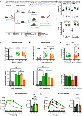 Membrane progesterone receptor signaling reverses hyperglycemia and insulin resistance in obese mice