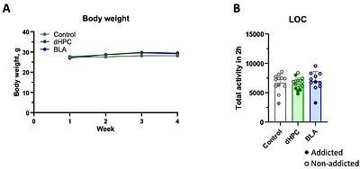 Distinct Glutamatergic Inputs to the Nucleus Accumbens Differentially Regulate Vulnerability to Cannabinoid Addiction