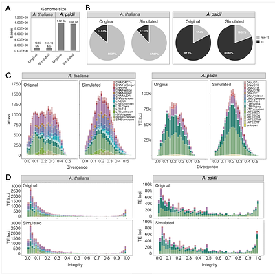 TESS: A Forward Simulation Framework for Studying the Role of Transposable Elements in Genome Expansion and Contraction