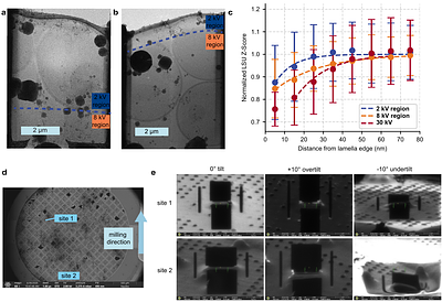 Optimized cryo-FIB milling strategy to generate thin, minimally damaged biological lamellae