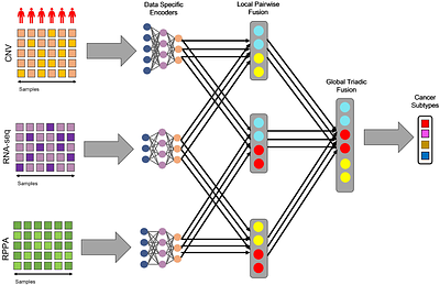 Triad-LMF: A Hierarchical Low-Rank Multimodal Fusion Framework for Robust Cancer Subtype Classification Using Multi-Omics Data