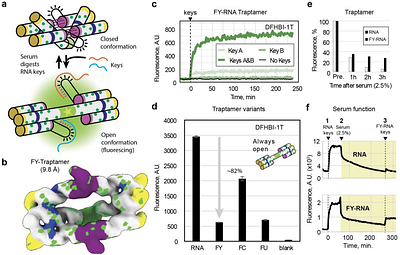 Fluorinated RNA origami enables serum-stable nanodevices for sensing and targeting