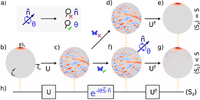 Butterfly Echo Protocol for Axis-Agnostic Heisenberg-Limited Metrology