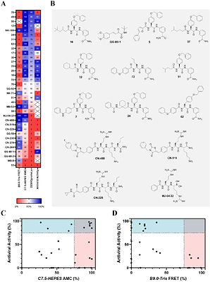 Antiviral Drug Discovery with an Optimized Biochemical Dengue Protease Assay: Improved Predictive Power for Antiviral Efficacy