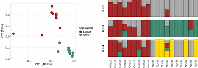 Pleiotropy and facilitation of local adaptation in the silverleaf sunflower Helianthus argophyllus