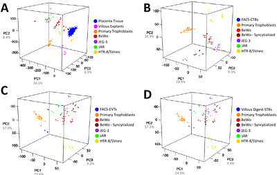 Transcriptomic comparison of in vitro models of the human placenta