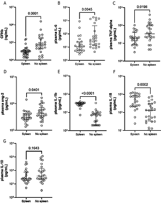 Splenic tropism of Plasmodium vivax in acute infection and spleen-attenuated systemic inflammation