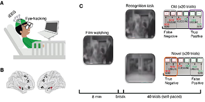 Hippocampal theta distinguishes between memory-guided and exploratory saccades in humans