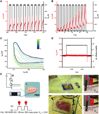 An artificial nervous system for communication between wearable and implantable therapeutics