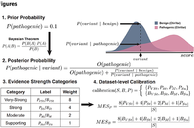 Clinical evidence yield as a framework for evaluating computational predictors and multiplexed assays of variant effect