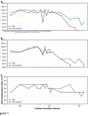 Effect of Cold Ischemia Time and Fixative preparation on Breast Cancer Biomarker Expression: Implications for Resource-Limited Settings