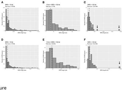 De novo genome assemblies from two Indigenous Americans from Arizona identify new polymorphisms in non-reference sequences