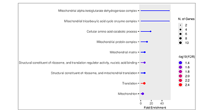 Integrative Transcriptomic and Machine Learning Approaches to decipher Mitochondrial Gene Regulation in severe Plasmodium vivax Malaria