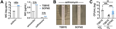 Metabolic Strategies That Enable Oral Commensal Persistence in a Lower Airway Environment