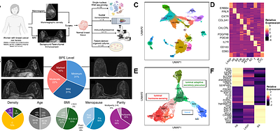 Hormone signaling and immune programs define differential endocrine responsiveness in high-risk breast tissue
