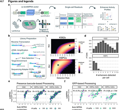 Lentiviral single-cell MPRA of synthetic enhancers reveals motif affinity-based encoding of cell type specificity