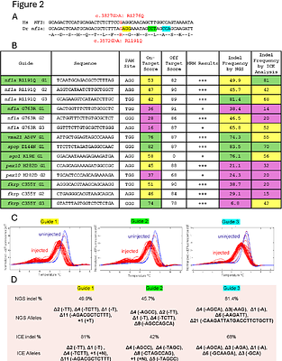 Engineering precision zebrafish alleles of human disease