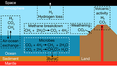 A generalised microbial cell model for methane biosignature predictions