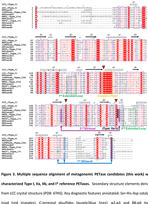 Targeted mining of plastic-associated metagenomes uncovers a novel thermostable PETase expanding scaffold space for engineering