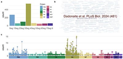 Flu Mutation Explorer: an Interactive Platform for Mapping Host Adaptation Mutations in Influenza A Viruses