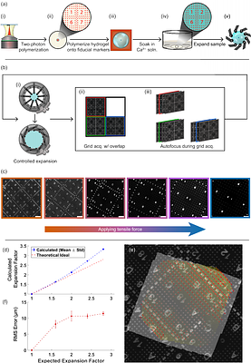 Tensile Expansion Microscopy Applies Mechanical Force to Super-resolve Fixed and Image Live Cellular Samples