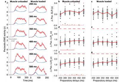 Preparation duration shapes the goal-directed tuning of stretch reflex responses