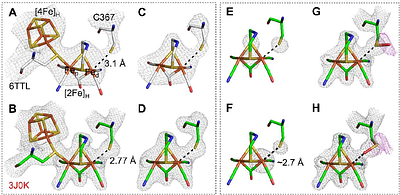 Direct Binding of Cysteine-367 Thiolate to the Active Site of the -Hydrogenase from Clostridium beijerinckii in the O2-stable State