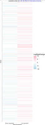 Molecular Analysis and Computational Modeling Reveal Temporally Separable Responses triggered by DENV-Induced Soluble Factors in Endothelial Cells
