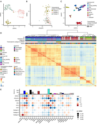 Transcriptomic perspective on acromegaly-related PIT-1/SF-1 positive pituitary tumors