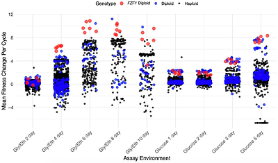 Experimental Evolution of Yeast Reveals Trade-offs Between Early and Late Stationary Phase