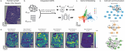 Mapping the gene space at single-cell resolution with gene signal pattern analysis