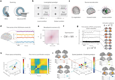 Network reconfiguration preserves prediction error signallingin the aging brain