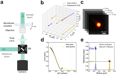Single-particle light scattering reveals the dynamic heterogeneity of biomolecular condensates