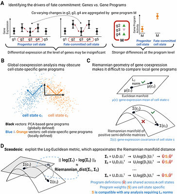 Navigating the manifold of single-cell gene coexpression to discover interpretable gene programs
