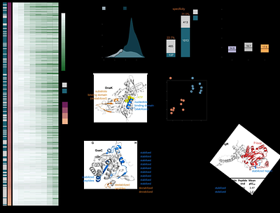 High-throughput peptide-centric local stability assay extends protein-ligand identification to membrane proteins, tissues, and bacteria